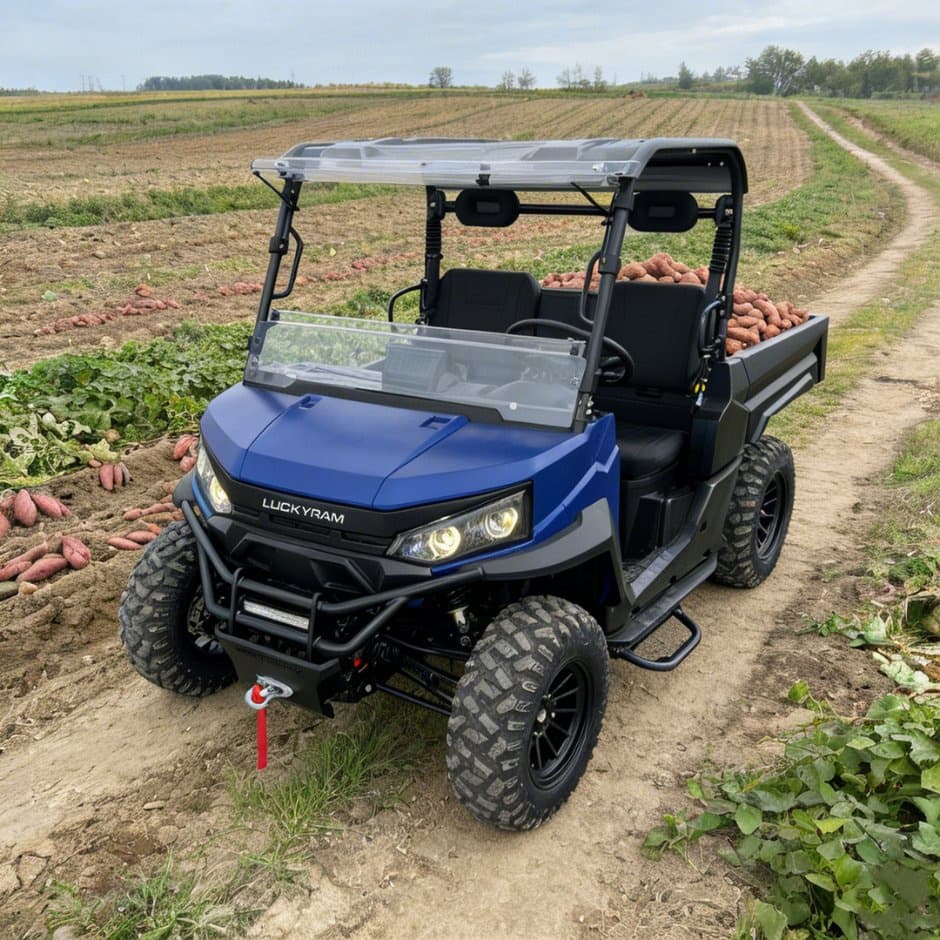 73,6 В 4WD UTV 10 кВт электродвигатель переменного тока EPS рулевое управление 150 Ач аккумулятор